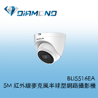 BLI5516EA 欣永成Benalink 5M 紅外線麥克風半球型網路攝影機