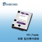 WD 紫標 監控專用硬碟